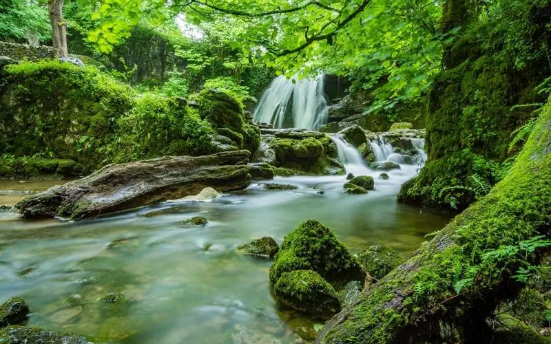 智能高端精密